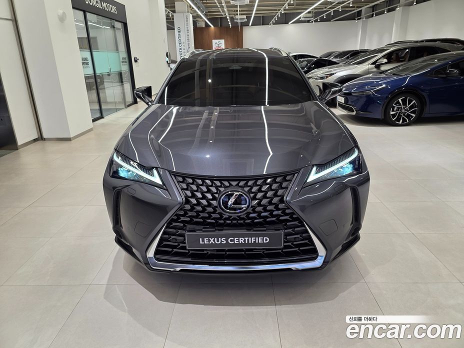 Lexus UX300h фото 3