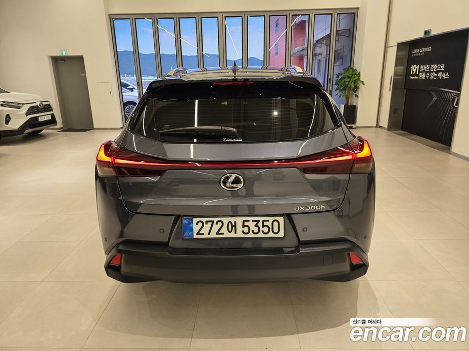 Lexus UX300h фото 4
