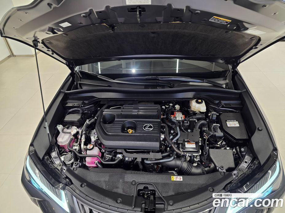 Lexus UX300h фото 6