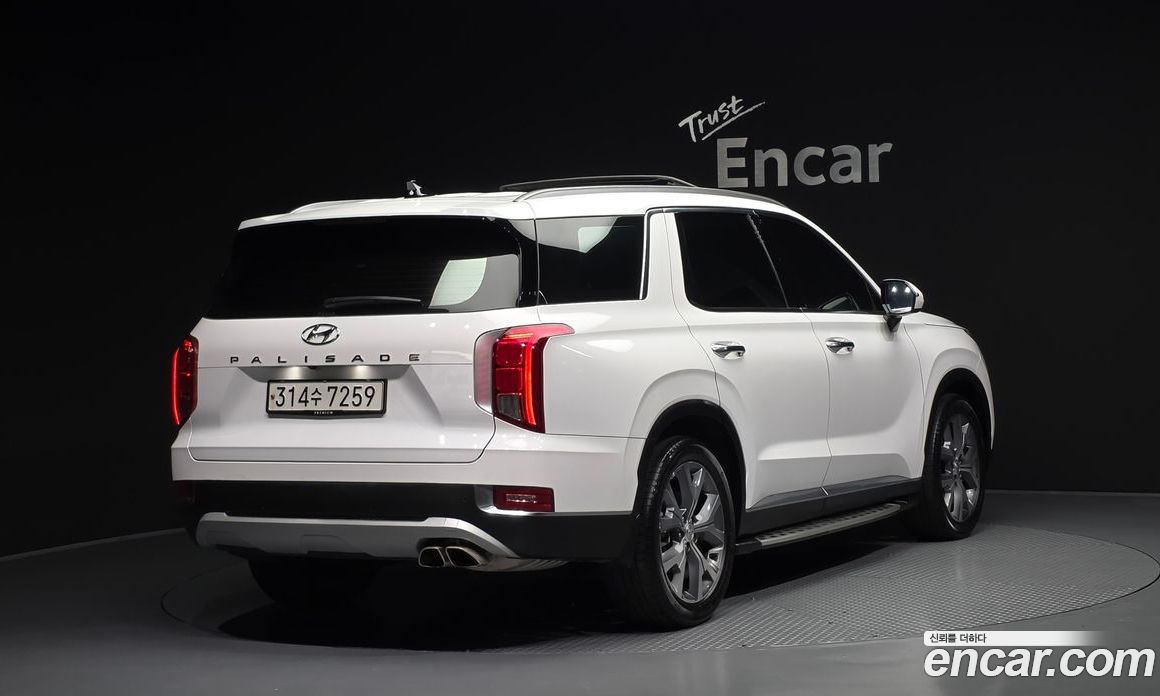 Hyundai Palisade 1st Gen фото 2