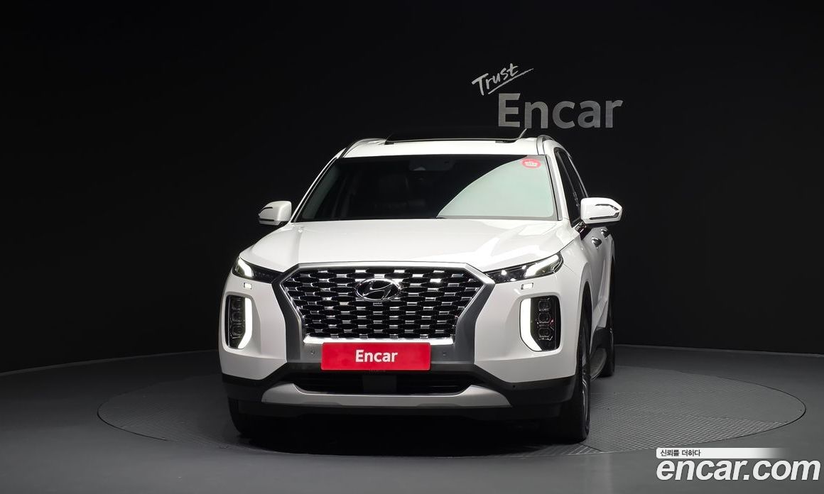 Hyundai Palisade 1st Gen фото 3