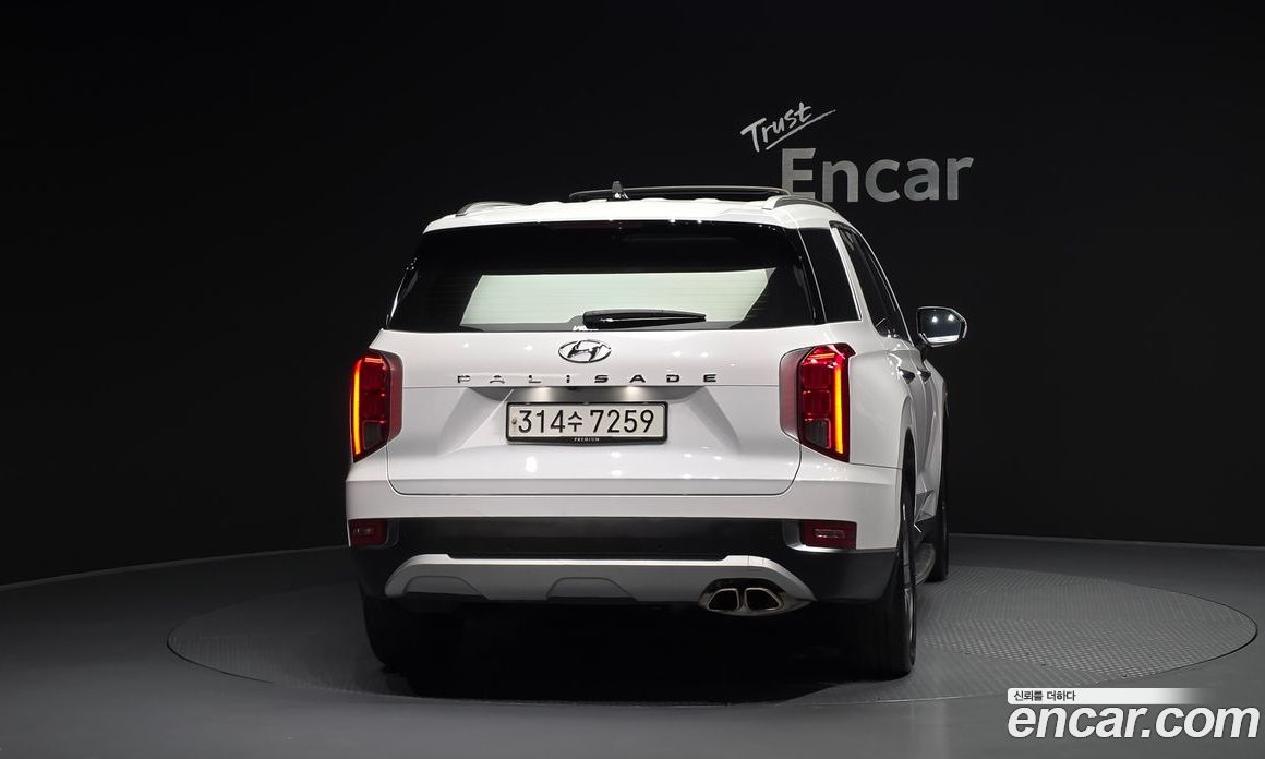 Hyundai Palisade 1st Gen фото 4