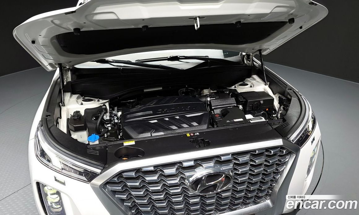 Hyundai Palisade 1st Gen фото 6