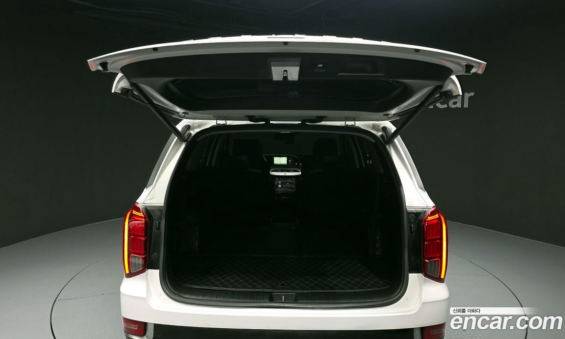 Hyundai Palisade 1st Gen фото 20
