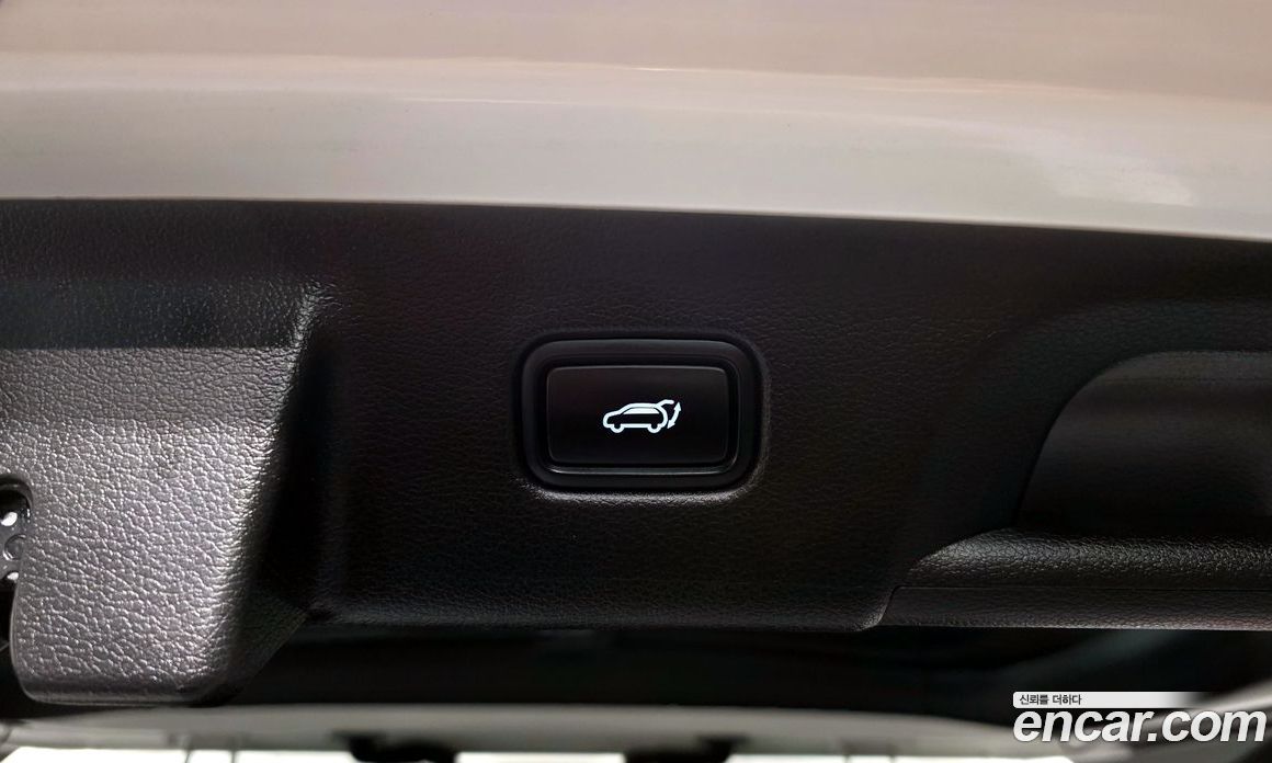 Hyundai Palisade 1st Gen фото 29