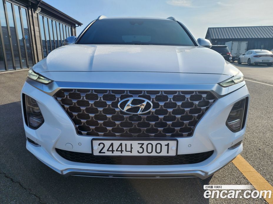 Hyundai Santa Fe (TM) 4th Gen фото 2