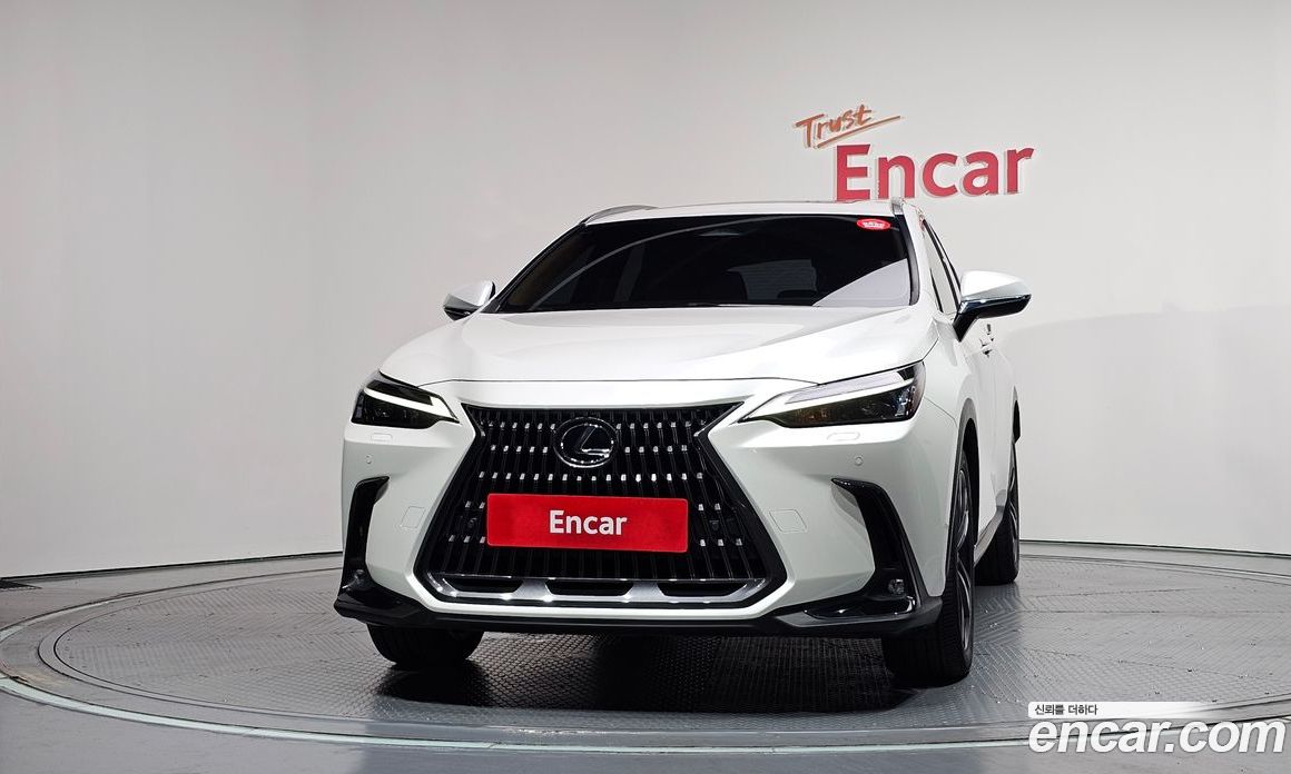 Lexus NX350h 2nd Gen фото 3