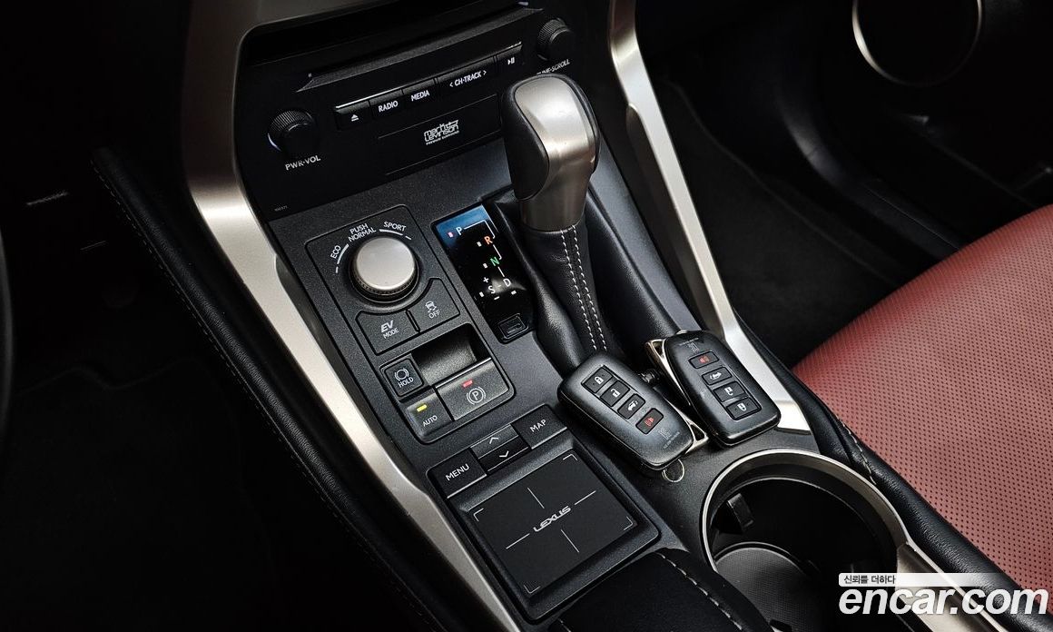 Lexus NX300h фото 9