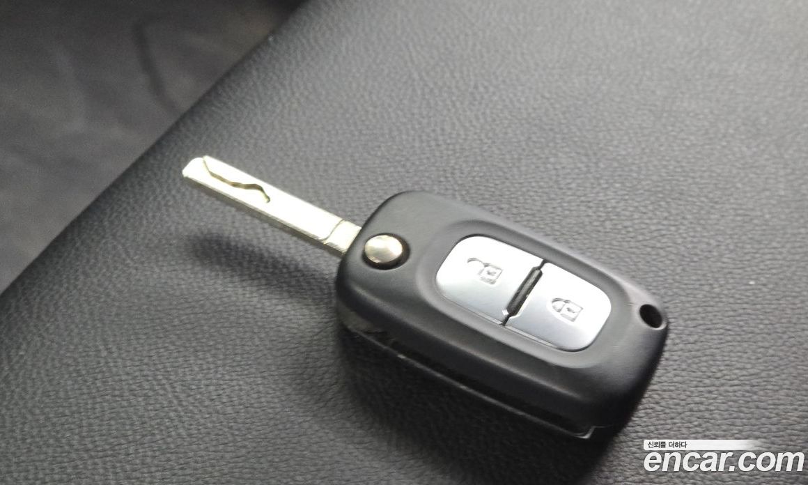 Renault Korea (Samsung) Master фото 16