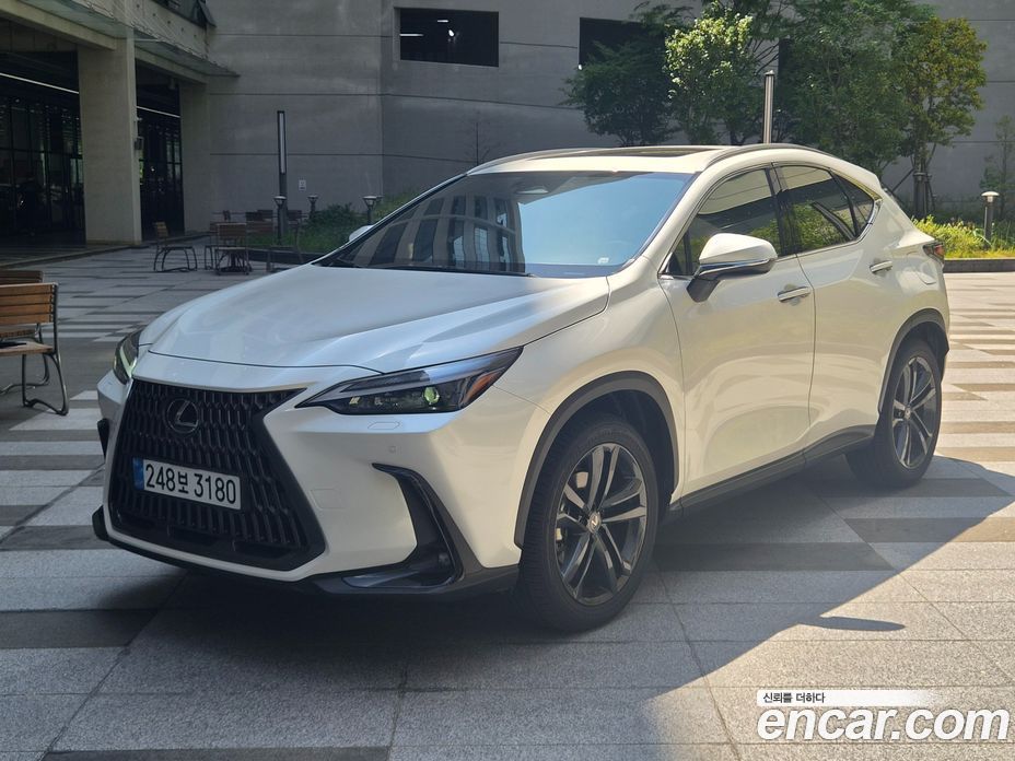 Lexus NX350h 2nd Gen