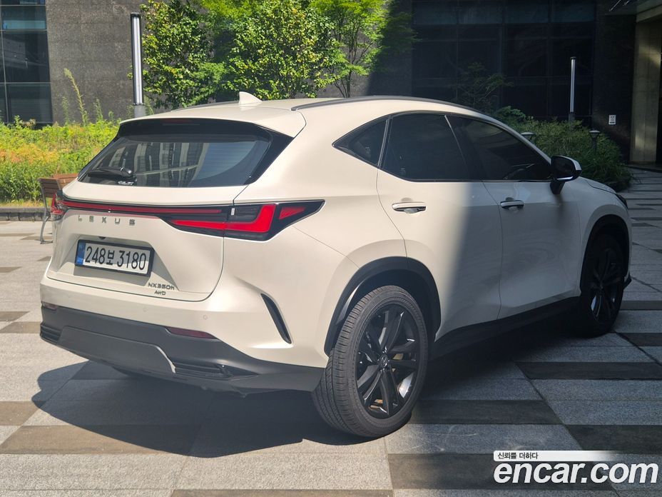 Lexus NX350h 2nd Gen фото 2