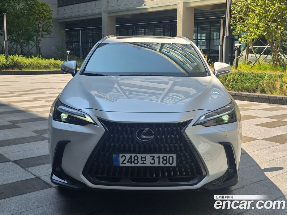 Lexus NX350h 2nd Gen фото 3