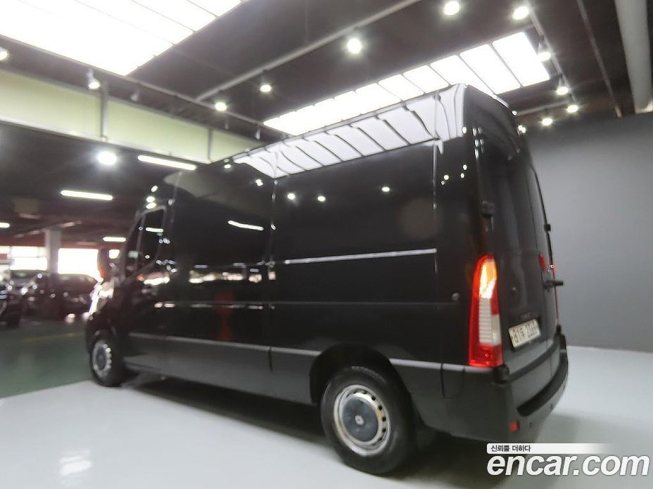 Renault Korea (Samsung) Master фото 4