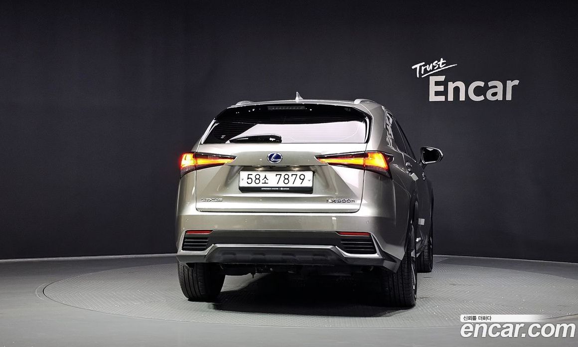 Lexus NX300h фото 4