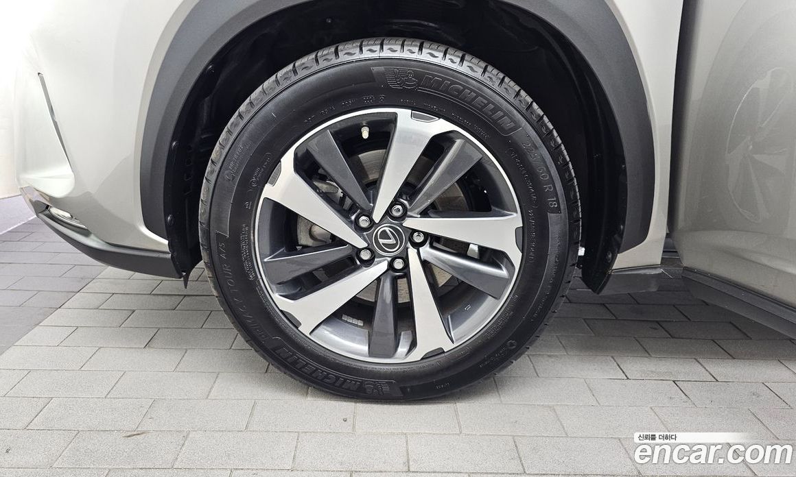 Lexus NX300h фото 5