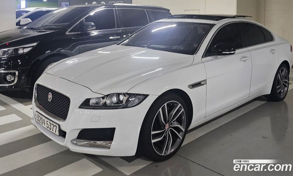 Jaguar XF (X260) з Кореї