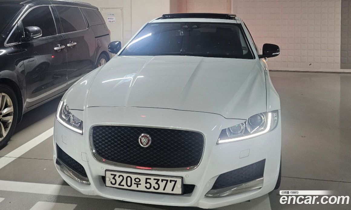 Jaguar XF (X260) фото 3