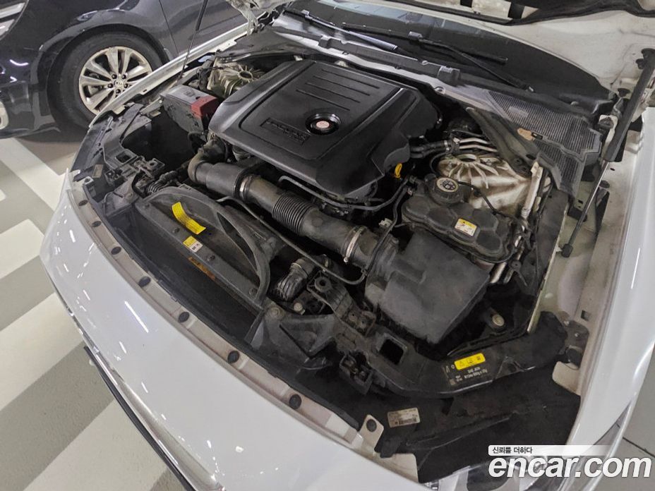 Jaguar XF (X260) фото 6