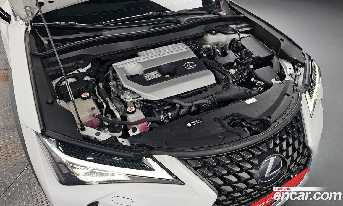 Lexus UX250h фото 5