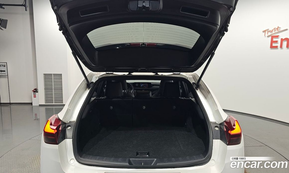 Lexus UX250h фото 32